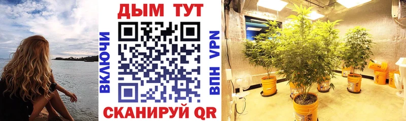 Купить Пойковский Каннабис kraken зеркало COCAIN A-PVP Гашиш МЕФ