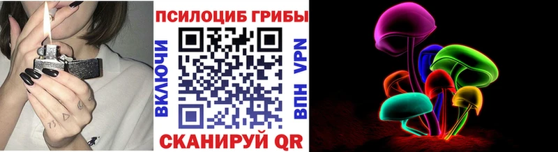 сколько стоит  Пойковский  Псилоцибиновые грибы Psilocybine cubensis 